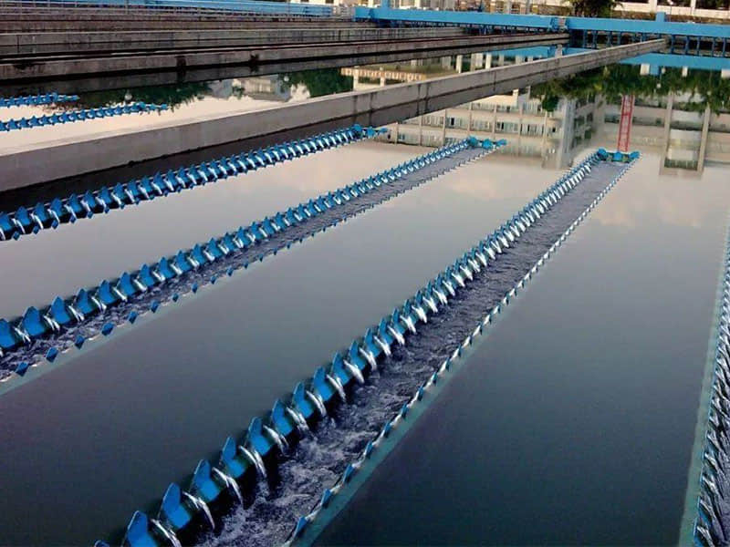 鸕鳥(niǎo)礦泉水廠1 鸕鳥(niǎo)礦泉水廠1